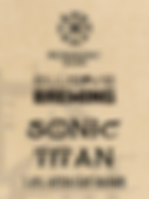 Sonic Titan.png